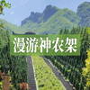 【10人专属】漫游神农架 | 观生态秘境，深入避暑胜地，饱览极致美景！ 商品缩略图0