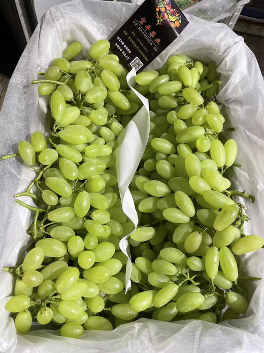 宏丰精选 维多利亚青提 活动价16.8一斤 商品图0