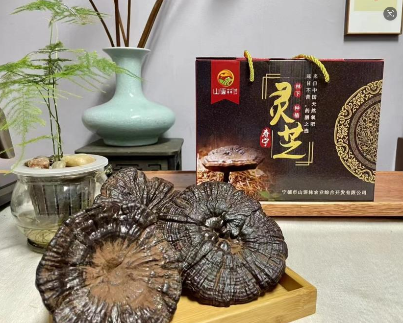 林下整朵灵芝礼盒500g