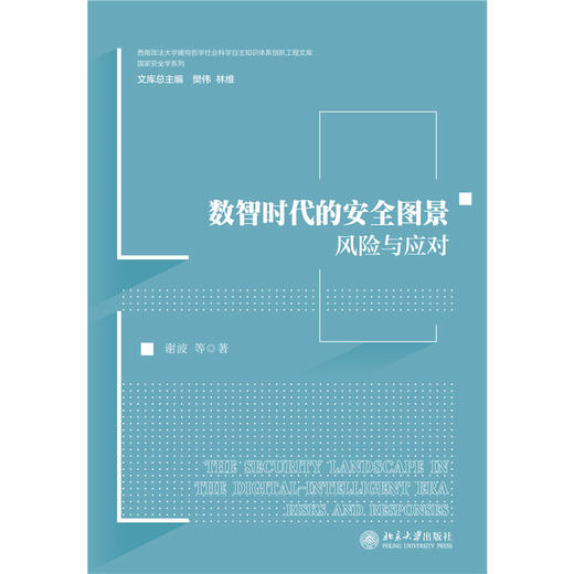 数智时代的安全图景：风险与应对   谢波 等 著   北京大学出版社 商品图1