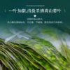 【糯山】端午 和玺1030g 员工福利-FN 商品缩略图5