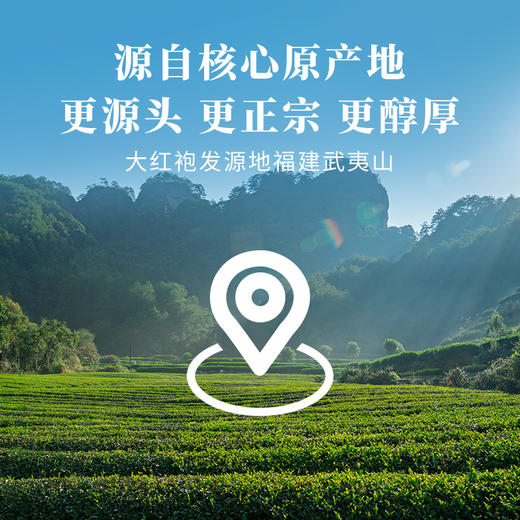 八马茶业 | 多多有福·武夷岩茶大红袍200克 商品图4
