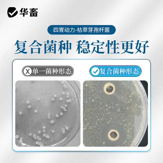 华畜四胃动力500ml 提高肠胃消化力改善胃积食 商品图1