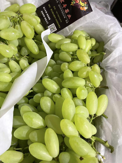 宏丰精选 维多利亚青提 活动价16.8一斤 商品图1