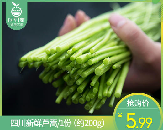 四川新鲜芦蒿/1份（约200g） 商品图0