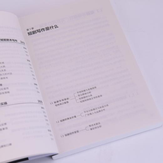 零基础短剧写作从零开始学短剧编剧AI辅助短剧变现编剧课影视艺术 商品图3