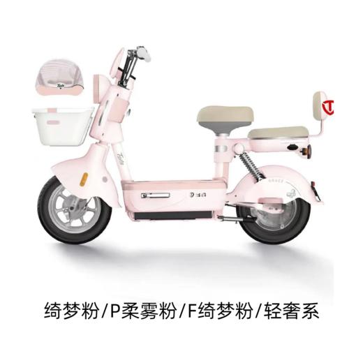 美点-台铃-超能6·欣动-GCG（带牌） 商品图1