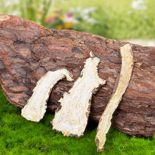 悦意 有机当归100g 商品图2