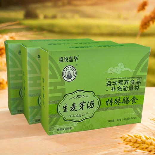 生麦芽汤 商品图0