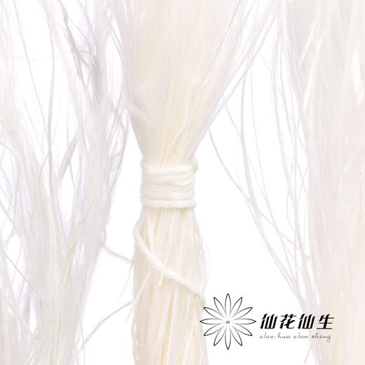 永生花材 | 针茅白色 商品图0