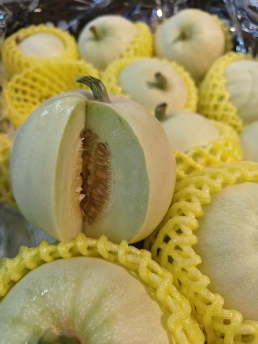 广西龙州香瓜（珍珠瓜）口感脆嫩清甜，汁水足，甜度好 商品图0