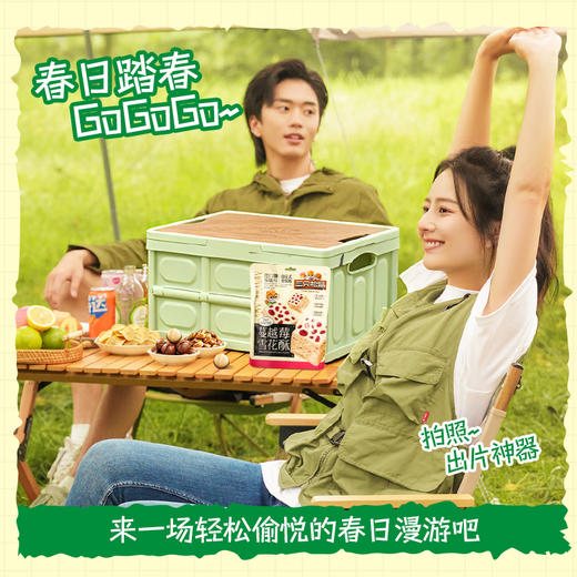 三只松鼠 春游踏青零食礼包户外野餐/17袋约1557g 赠露营箱+野餐垫 商品图5