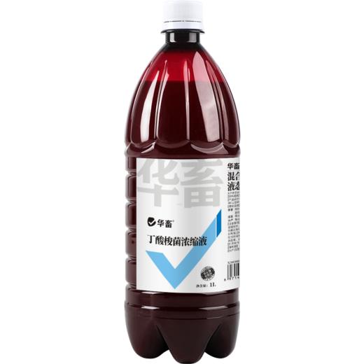 华畜丁酸梭菌原液兽用鸡鸭鹅猪牛羊调节肠道益生菌诱食促长菌种 商品图5