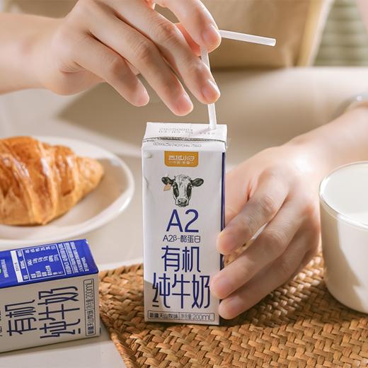 新疆A2 有机纯牛奶 200ml*16盒 基地直邮 商品图4