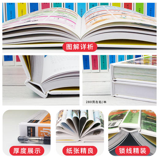 常春藤-中国通史 商品图3