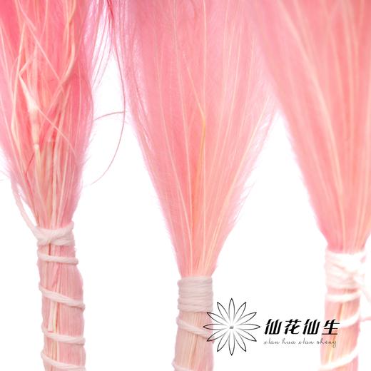 永生花材 | 针茅樱花粉 商品图3