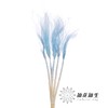 永生花材 | 针茅浅蓝色 商品缩略图1