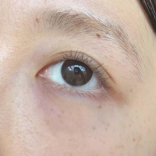 liliyacon 日抛 摩卡贝贝 直径14.5mm (6片装) 商品图5