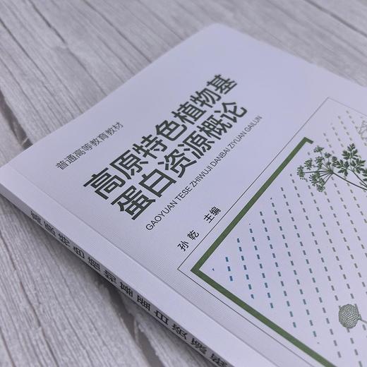 高原特色植物基蛋白资源概论（孙乾 ） 商品图2