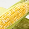 【醒粉福利9.9元3斤】【香甜软糯】云南水果玉米 商品缩略图1