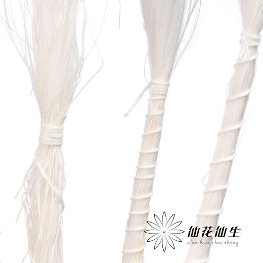 永生花材 | 针茅白色 商品图2