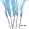 永生花材 | 针茅浅蓝色 商品缩略图0