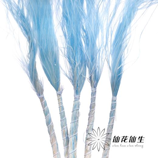 永生花材 | 针茅浅蓝色 商品图0