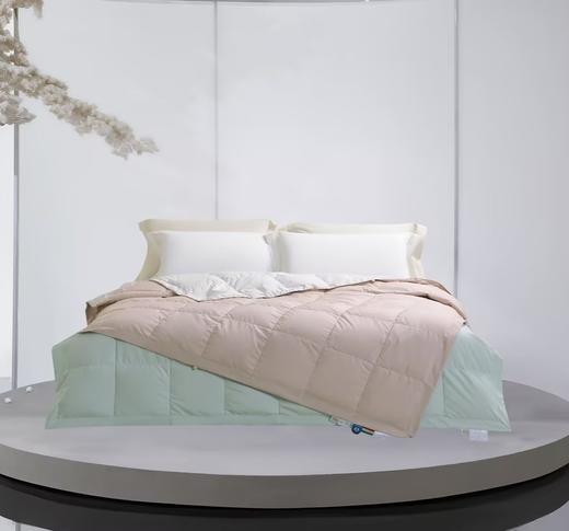 【店庆爆品】10楼堂皇   羽逸可水洗匈牙利进口鹅绒夏被/180g   200*230cm   吊牌价2290元    活动价599元 商品图3