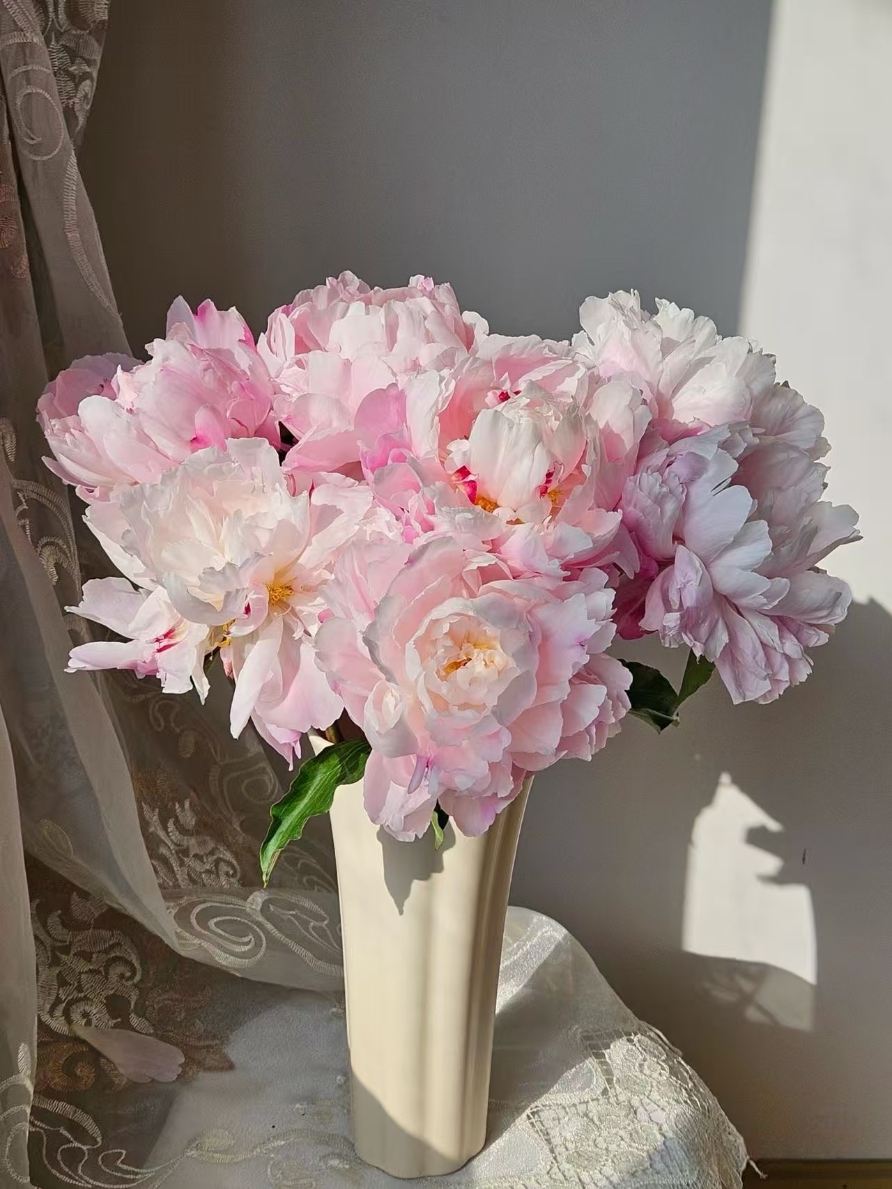 粉凌红花芍药10枝