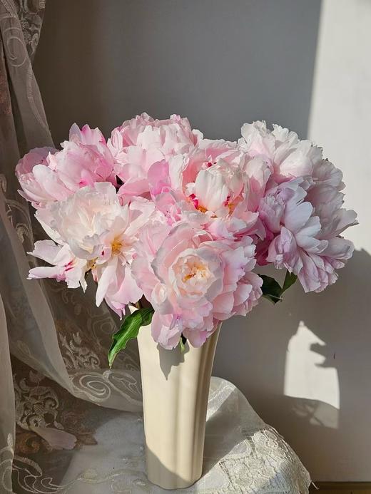 粉凌红花芍药10枝 商品图0