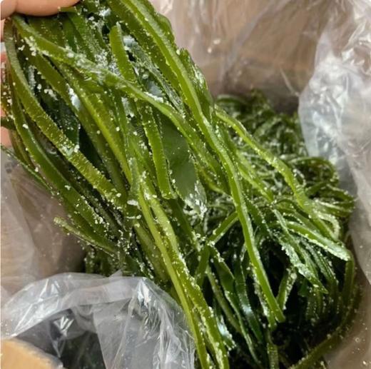 【YC】钱大新腌渍海带丝 商品图1