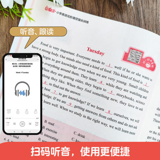 【任选】华理社周计划小学语文基础知识英语阅读训练数学计算应用题 商品图1