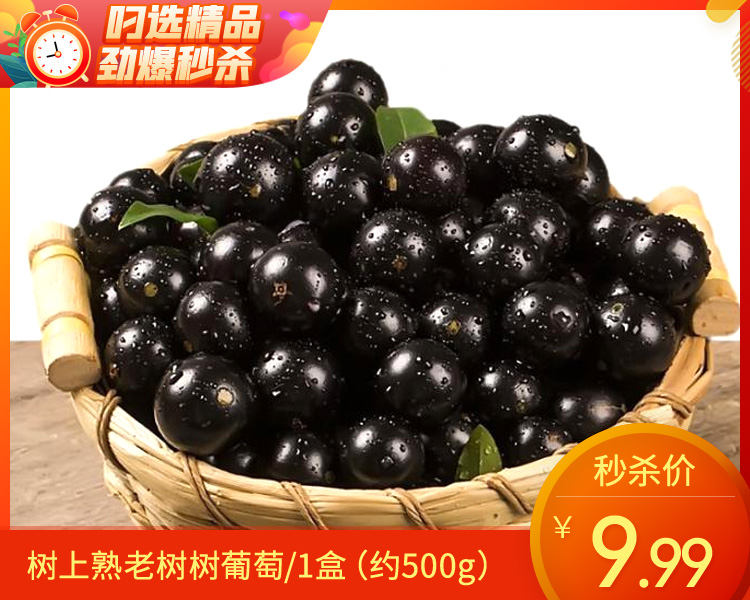 树上熟老树树葡萄/1盒（约500g）