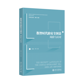 数智时代的安全图景：风险与应对   谢波 等 著   北京大学出版社