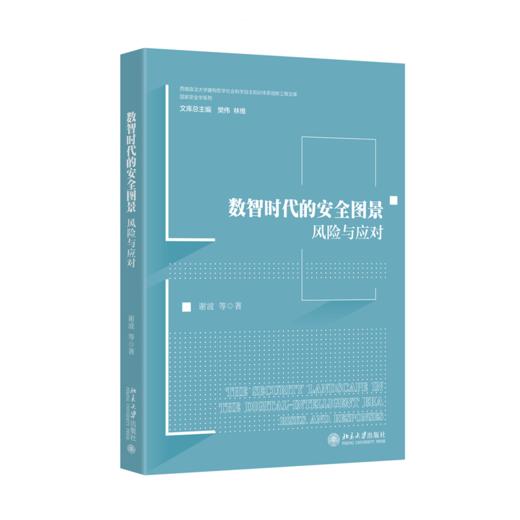 数智时代的安全图景：风险与应对   谢波 等 著   北京大学出版社 商品图0