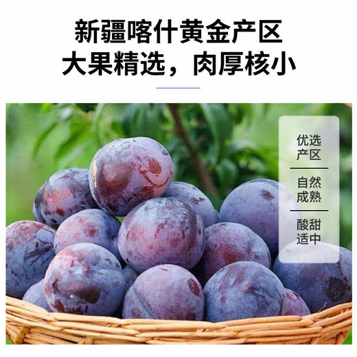 营养食光西梅干 配料干净 鲜果制作 独立包装 酸甜可口有嚼劲 150g/盒 商品图1