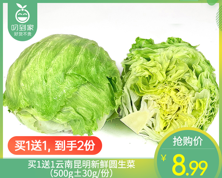 买1送1云南昆明新鲜圆生菜（500g±30g/份）