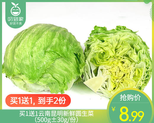 买1送1云南昆明新鲜圆生菜（500g±30g/份） 商品图0
