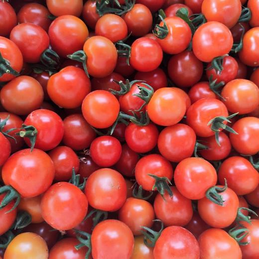 新疆吐鲁番 爆汁樱桃小番茄 酸甜爆汁 商品图6