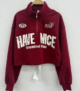 NC立领美式字母半拉链卫衣50704（红） 秋季 253060070321 商品图0