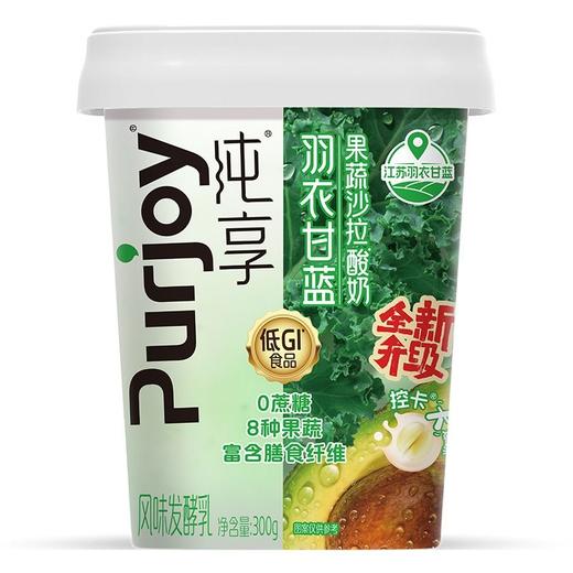 君乐宝纯享300g果蔬羽衣甘蓝酸奶 商品图3
