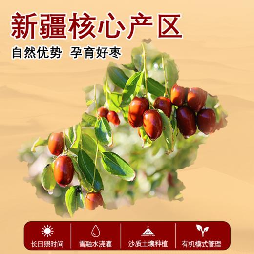 【新品买赠】天边小宛有机去皮去核灰枣 枣肉香甜软糯无渣330g/袋 商品图1