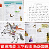 常春藤-中国通史 商品缩略图2