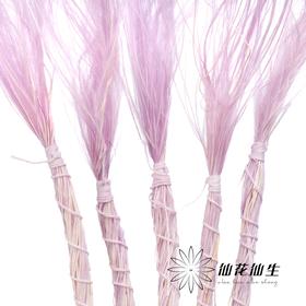 永生花材 | 针茅浅紫色