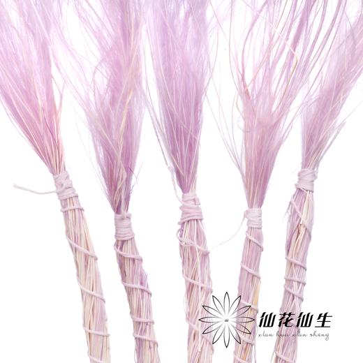 永生花材 | 针茅浅紫色 商品图0