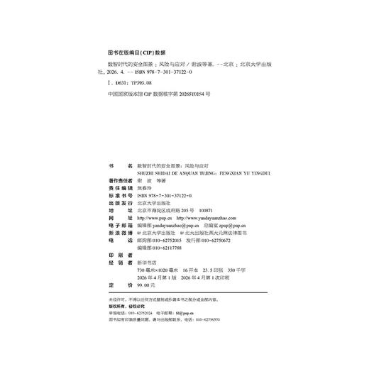 数智时代的安全图景：风险与应对   谢波 等 著   北京大学出版社 商品图2