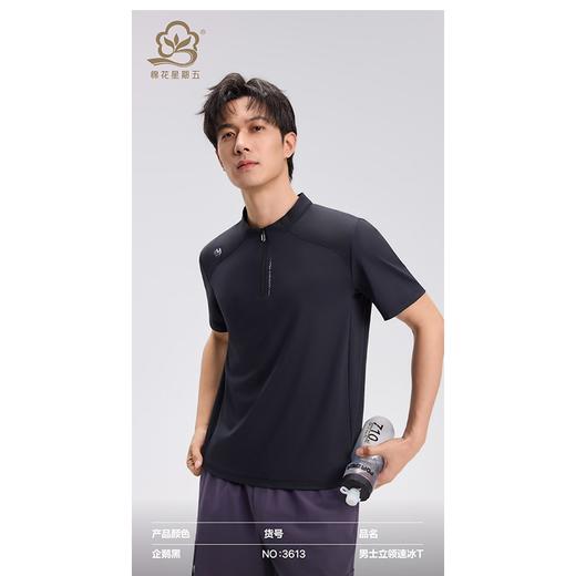 棉花星期五男士立领速冰T恤3613（XL-4XL）黑灰丈青绿（下单请备注颜色尺码） 商品图1
