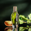 窄门 柚子古龙 Lapot studio Yuzu Cologne 返璞归真 分装 商品缩略图0