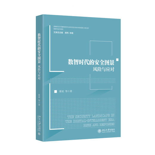 数智时代的安全图景：风险与应对   谢波 等 著   北京大学出版社 商品图3