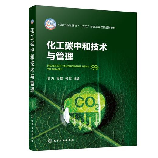 化工碳中和技术与管理（郭力） 商品图0